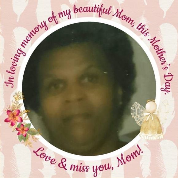 Meet your Posher, Vicie - Picture 1 of 1